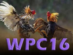 WPC16