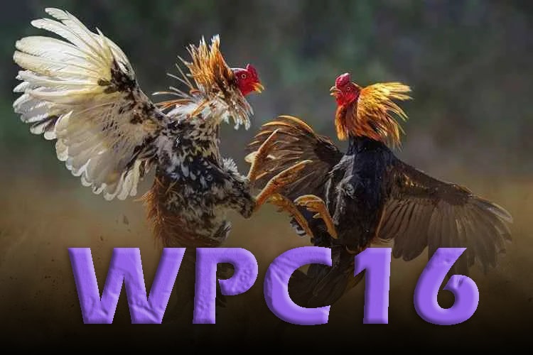 WPC16